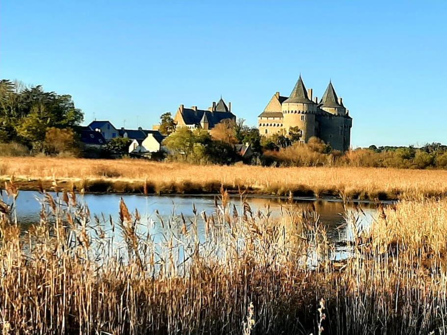 Hyper Centre De Sarzeau, Grand Appartement Au Calme Avec Jardinet Bagian luar foto